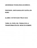 EL PAPEL DEL TRABAJO EN LA TRANSFORMACIÓN DEL MONO EN HOMBRE.