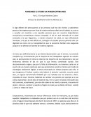 PLANEANDO EL FUTURO VIA PENSION OPTIMA IMSS