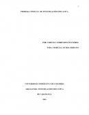 PRIMERA CONSULTA DE INVESTIGACIÓN EDUCATIVA