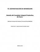 Estudio del Complejo Integral Productivo de Cuero