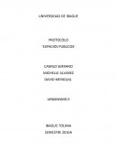 El presente protocolo se presenta el tema de espacios públicos en la materia de urbanismo II en el cual se explicara cómo se desarrolló el tema nombrado en el aula y fuera de esta.