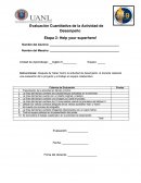 Evaluación Cuantitativa de la Actividad de Desempeño.