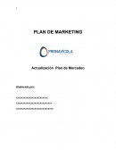 EL GRAN PLAN DE MARKETING.