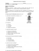 Identificar la ubicación y explicar la función de algunas partes del cuerpo que son fundamentales para vivir: corazón, pulmones, estómago, esqueleto y músculos