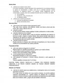 ¿Quiénes son nuestros socios clave?.