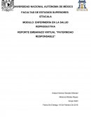 ENFERMERÍA EN LA SALUD REPRODUCTIVA REPORTE EMBARAZO VIRTUAL “PATERNIDAD RESPONSABLE”