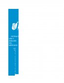 ESTRUCTURA Y ANÁLISIS DEL MERCADO.