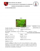 Plantas alimenticias.