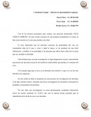 Conclusion Grupal – informe de oportunidad de negocios