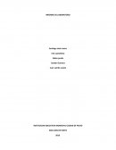 INSTITUCION EDUCATIVA MUNICIPAL CIUDAD DE PASTO.