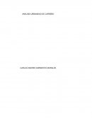 ANÁLISIS URBANIDAD DE CARREÑO