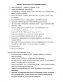 Evolución Sociocultural de las Sociedades Humanas