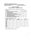 INGENIERÍA DE COSTOS II Prof. Ing. Gustavo Peña Huertas PRÁCTICA DIRIGIDA