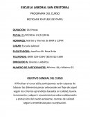 RECICLAJE EN FLEJE DE PAPEL.