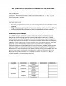 Analisis de mercadeo de mall plaza