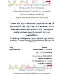 FORMACIÓN DE ESTRATEGIAS CIUDADANA PARA LA PREVENCIÓN DEL DELITO EN LA COMUNIDAD DE LA URBANIZACIÓN DE BOYACÁ I SECTOR I, MUNICIPIO SIMÓN BOLÍVAR, BARCELONA DEL ESTADO ANZOÁTEGUI.