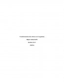 Transformación de los tóxicos en el organismo.