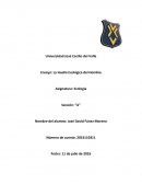 La Huella Ecológica del Hombre