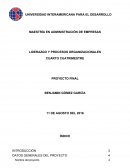 El coaching como parte de la solución Cómo implementar el coaching