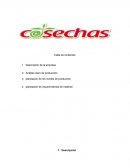 Gerencia de produccion.Costos