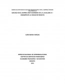 DISEÑO DE ESTRATEGIAS DE GESTIÓN ORGANIZACIONAL PARA LA EMPRESA ARIANNA SOLUTIONS S.A.S