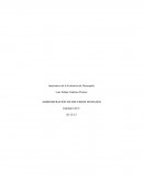 Importancia de la Evaluación de Desempeño