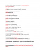 Los músculos están formados por haces o paquetes de miofibrillas musculares.