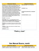 Pedro y Juan (Estructura interna)