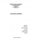 ¿Objetivos de la Auditoria de Patrimonio?