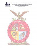 PROYECTO DE INNOVACION