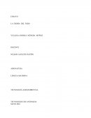 ENSAYO LA TEORÍA DEL TODO