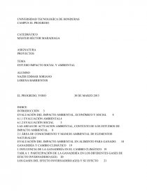 ESTUDIO IMPACTO SOCIAL Y AMBIENTAL. Página 1