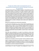 Terapia de células madre