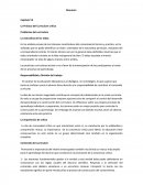 La Práctica del Curriculum crítico