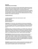 PECULIOS. PRINCIPIOS DEL HIJO DE FAMILIA