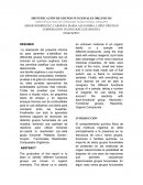 IDENTIFICACIÓN DE GRUPOS FUNCIONALES ORGÁNICOS .