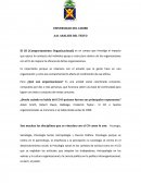 Analisis de comportamiento organizacional