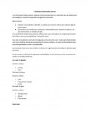 Cultivos germinados caseros: Estudio de la germinación de semillas en diferentes tipos de suelo