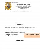 El perfil psicológico criminal del delincuente