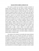 ANALISIS CRITICO SOBRE EL DERECHO CIVIL