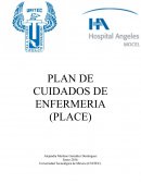 PLAN DE CUIDADOS DE ENFERMERIA (PLACE)