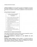 Resumen liderazgo situacional de equipos