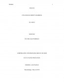 Ensayo normalidad y anormalidad