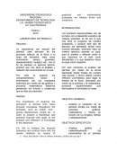 Pendulo, ensayo fisico