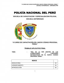 NUEVO CODIGO PROCESAL PENAL Y FUNCION POLICIAL. Página 1