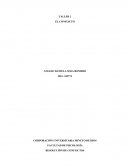 El Conflicto. Resolucion de conflictos.