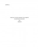 Control 3. Riesgos en area productiva.