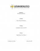 Ensayo Riesgos Informaticos