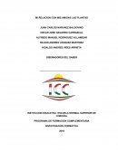 PROYECTO MIS AMIGAS LAS PLANTAS