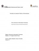 Normas de informacion financiera NIA-A